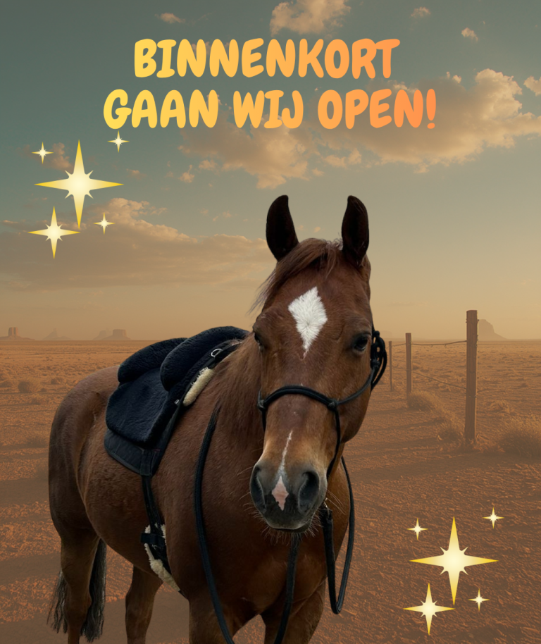 LongEar gaat open! "Binnenkort gaan wij open!" bovenaan.